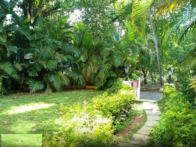 Hotel Little Italy Calangute Exteriér fotografie